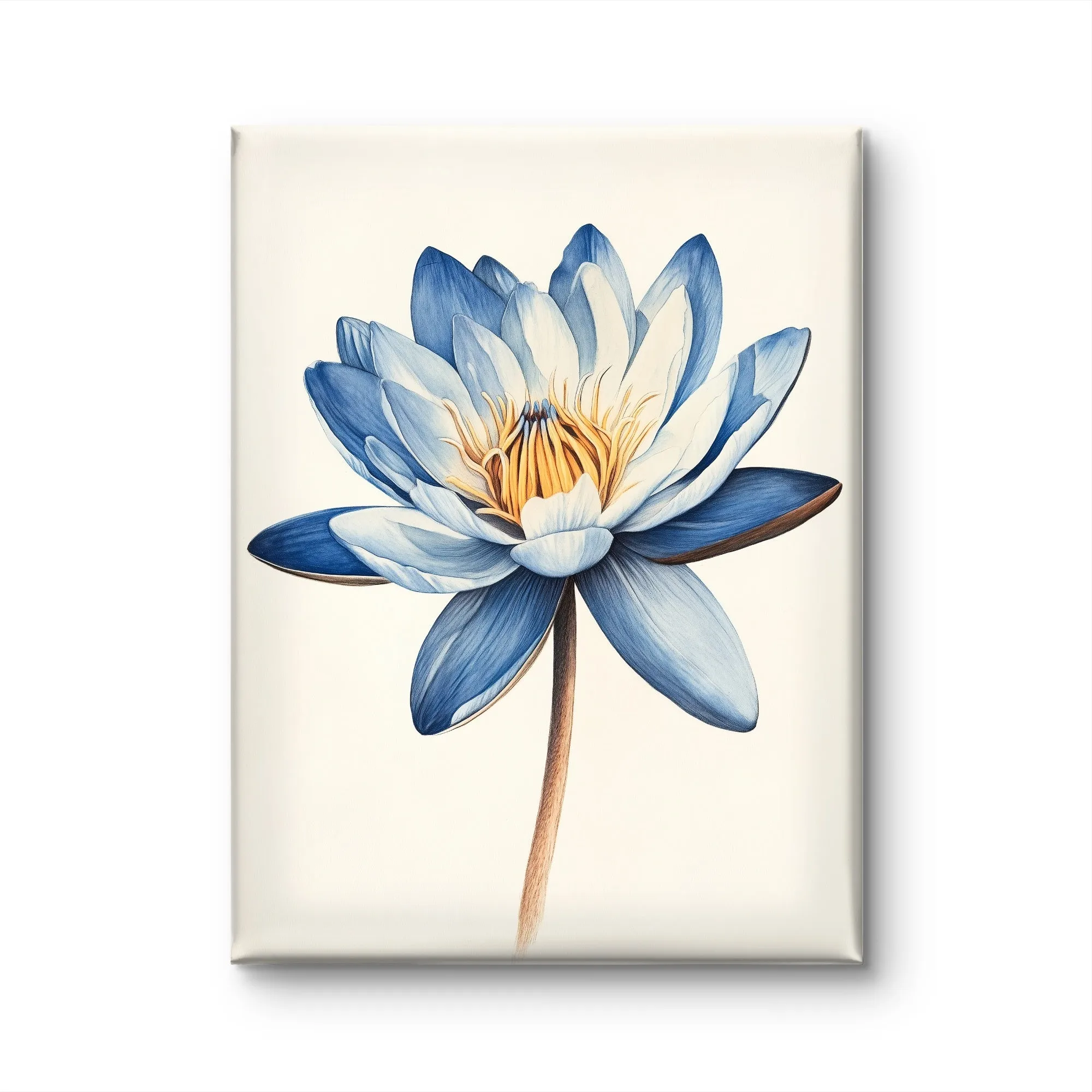 Blue Water Lily by Fleurs de la Terre