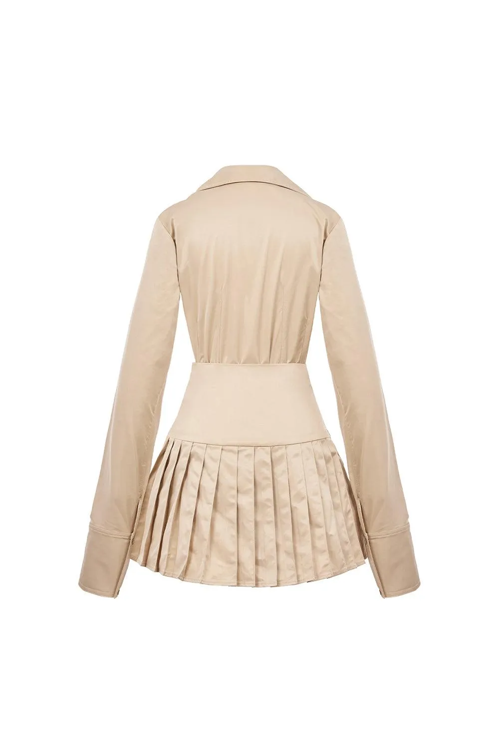 Chloe Drop Waist Pleated Taffeta Mini Dress